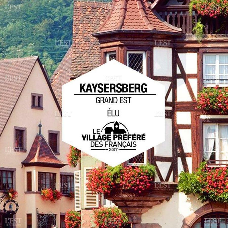 Venez Loger Chez L'Habitant Au Centre De L'Alsace, A Cote D'Europa Park ! Hotell Marckolsheim Eksteriør bilde